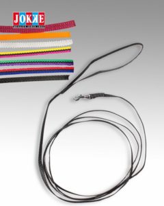 junior, nosework, talutin, koiratarvike