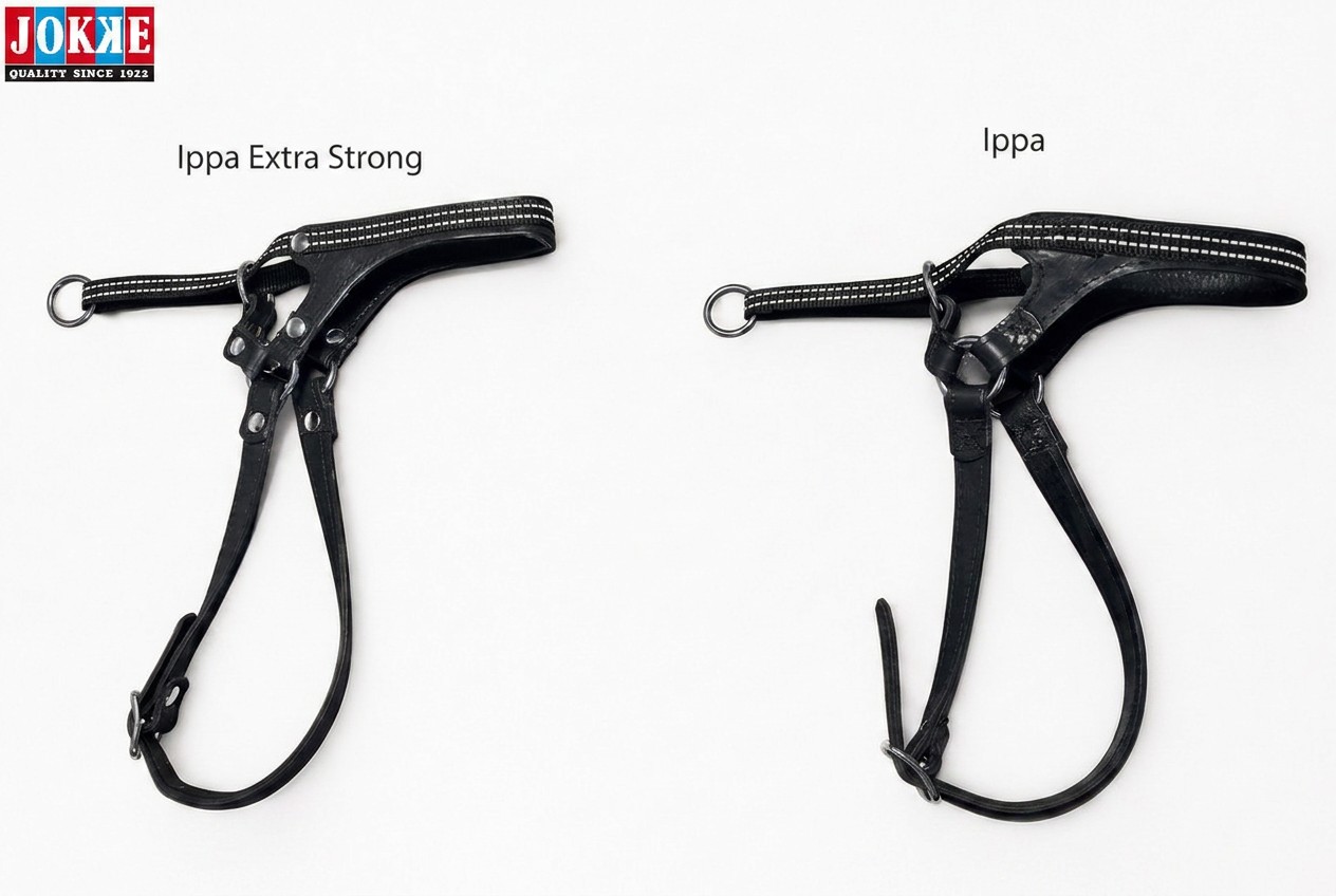 Ippa - kotimainen nahkainen kuonopanta, valmistettu Kälviällä. Kuono-osan läpimitta / niskaremmin säätövara : koko 4 = 46 cm / 40 - 50 cm , koko 5 = 52 cm / 35 - 52 cm, koko 6 = 58 cm / 48 - 65 cm